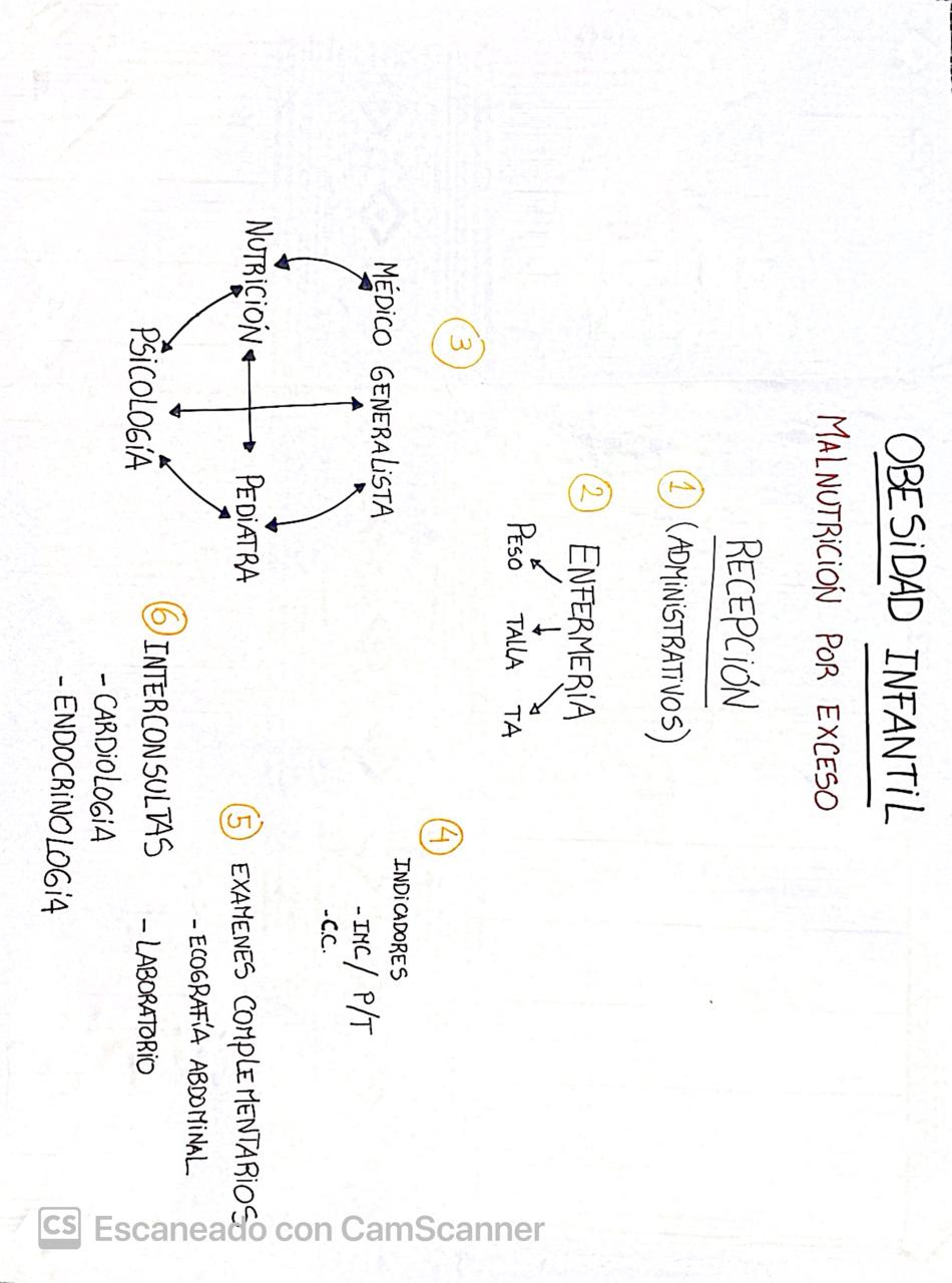 Obesidad infantil 30-10